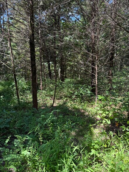 More Photos Of 20765 State Highway 42, Belle Land For Sale