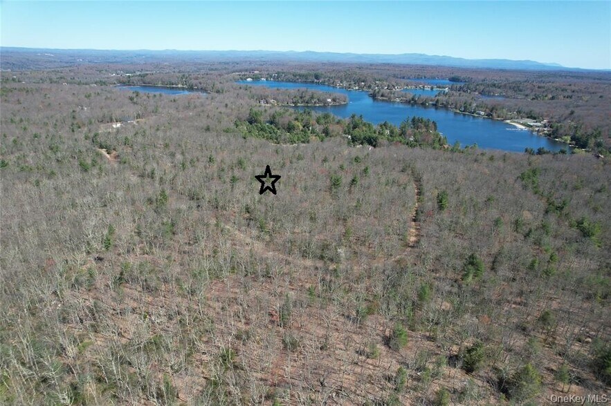 More Photos Of TBD Old Sackett Lake Rd, Rock Hill Land For Sale