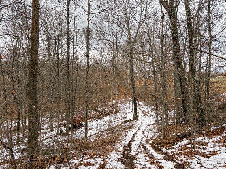 More Photos Of ,  Land For Sale