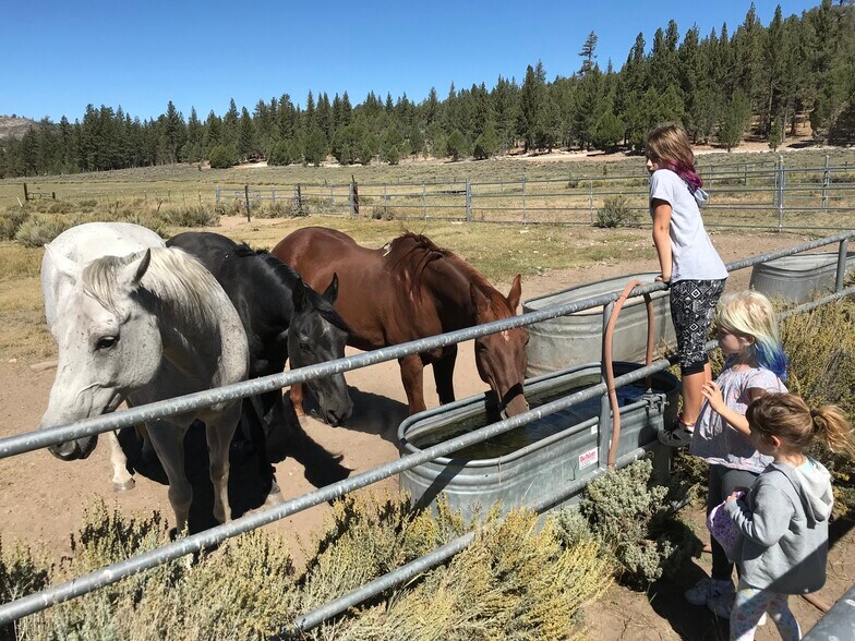 More Photos Of 34300 Holcomb Valley Rd, Fawnskin Land For Sale