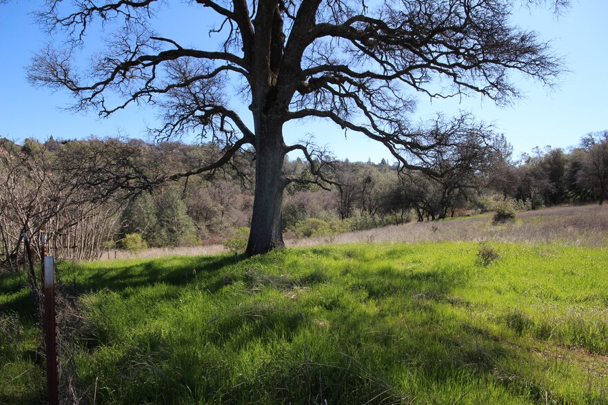 More Photos Of 10650 Werner Rd, Auburn Land For Sale