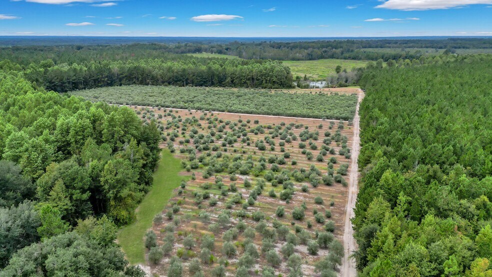 More Photos Of 2437 GA Highway 121, Glennville Land For Sale