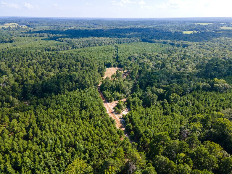 More Photos Of 2539 FM 995, Atlanta Land For Sale