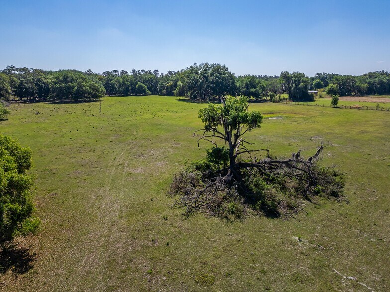More Photos Of Carlton Rd, Plant City Land For Sale