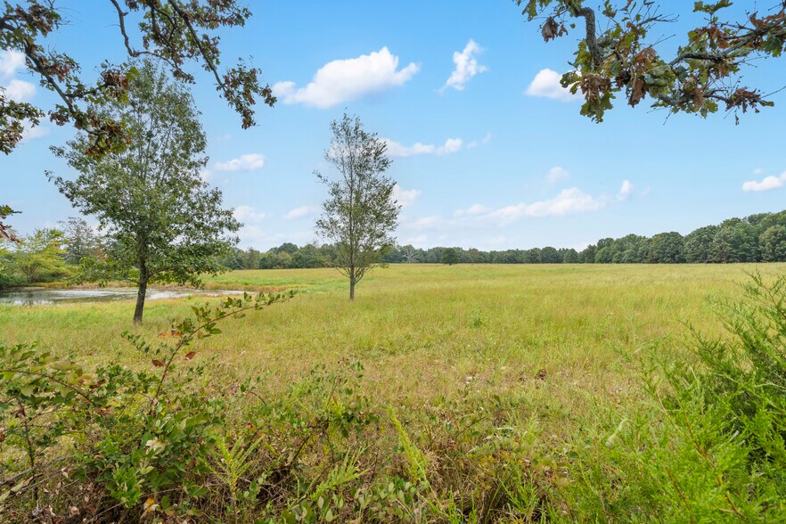 More Photos Of 808 Coon Ridge rd, Galena Land For Sale