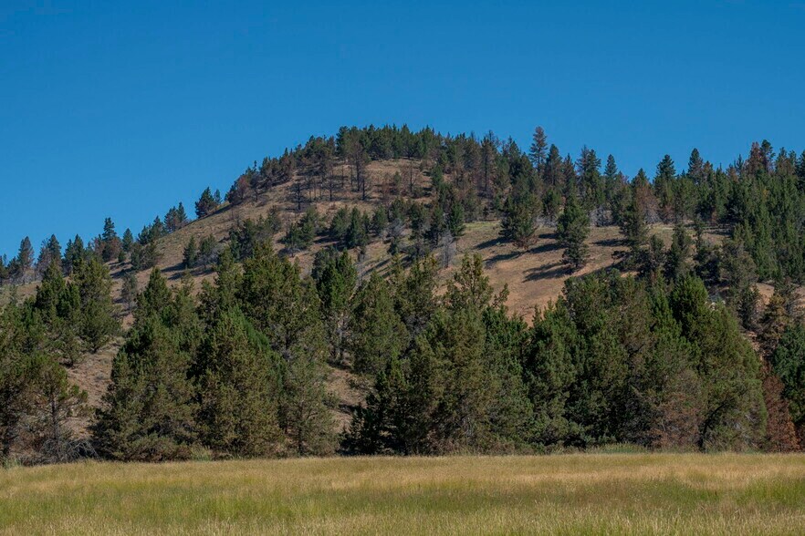 More Photos Of 32611 Tackman Rd, Prineville Land For Sale