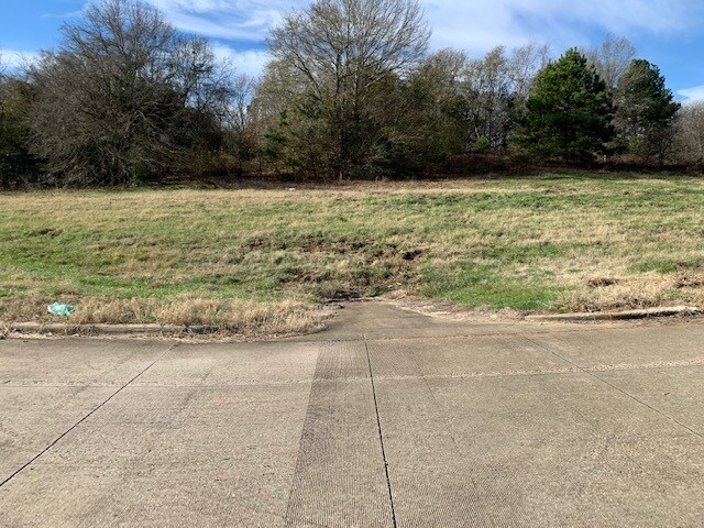 More Photos Of 155 N State Highway 155, Palestine Land For Sale