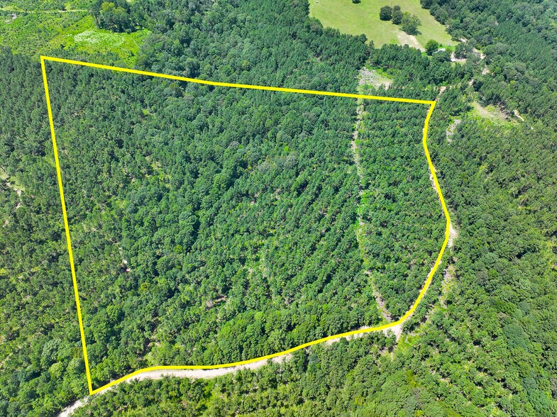 More Photos Of 0 Slim Palmer Road, Zavalla Land For Sale
