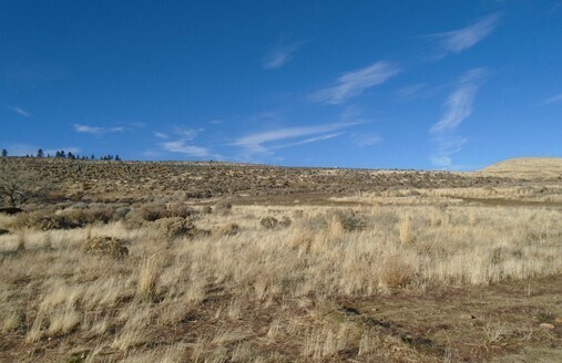 More Photos Of 295 US Highway 395 S, Washoe Valley Land For Sale