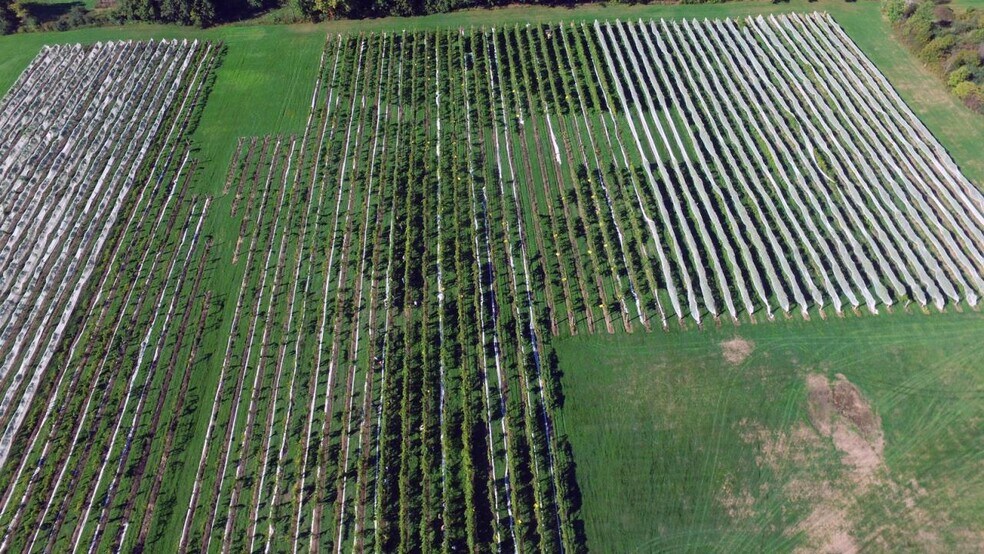 More Photos Of 17371 Line rd, Clayton Winery Vineyard For Sale