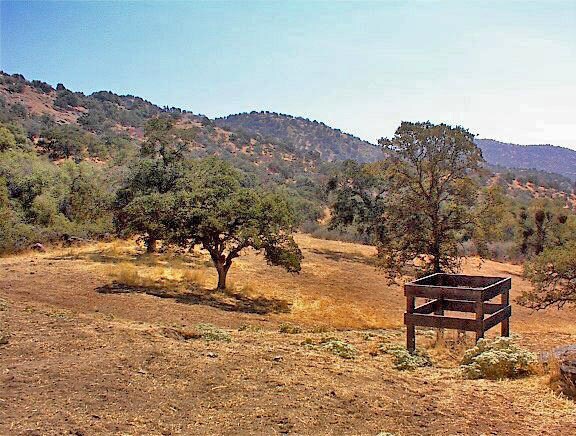 More Photos Of 38176 Cardinal, Yokuts Valley Land For Sale