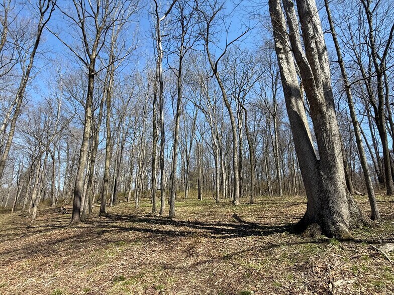 More Photos Of 0 Kragel Rd, Wintersville Land For Sale