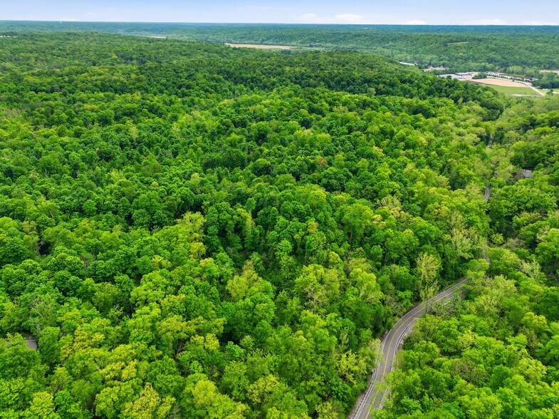 More Photos Of 30-Acres Wolfpen Pleasant Hill Rd, Day Heights Land For Sale