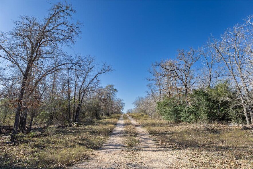 More Photos Of 399 Seals Creek Rd, Lockhart Land For Sale