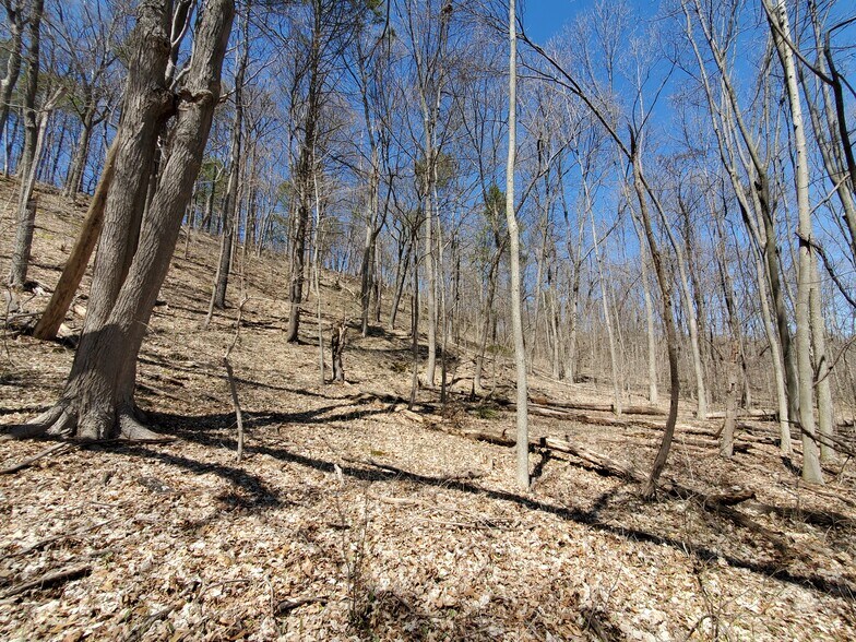 More Photos Of Old Plank Rd, Coxsackie Land For Sale