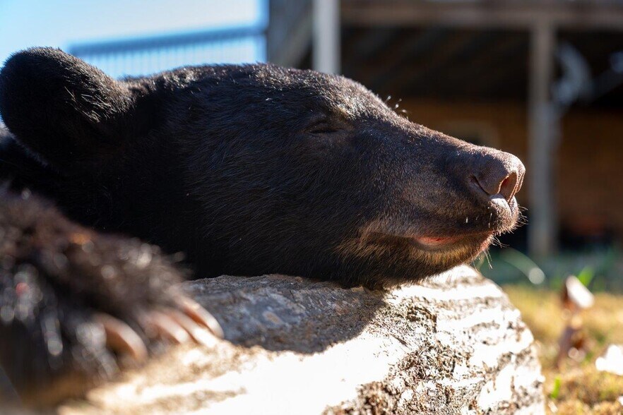 More Photos Of 0 Foothills Rd, Callaway Land For Sale
