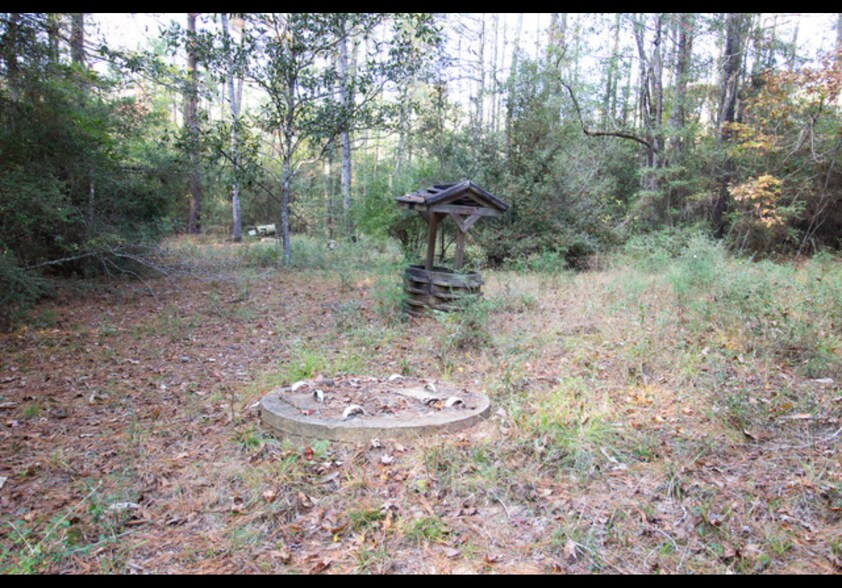 More Photos Of 8.5 ACRES +/- TBD CR 319, Broaddus Land For Sale