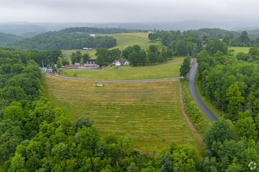 More Photos Of 861 Bailey Rd, Curwensville Winery Vineyard For Sale