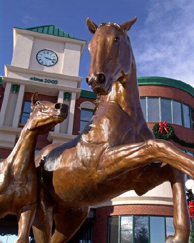 More Photos Of 19751 E Mainstreet, Parker Office For Lease