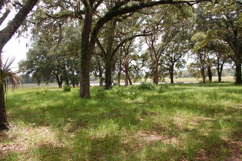 More Photos Of 4107 NE 255th Dr, Melrose Land For Sale