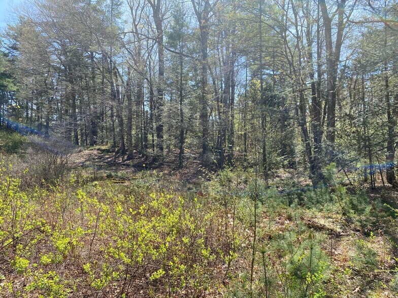 More Photos Of 100 Pequot Rd, Southampton Land For Sale