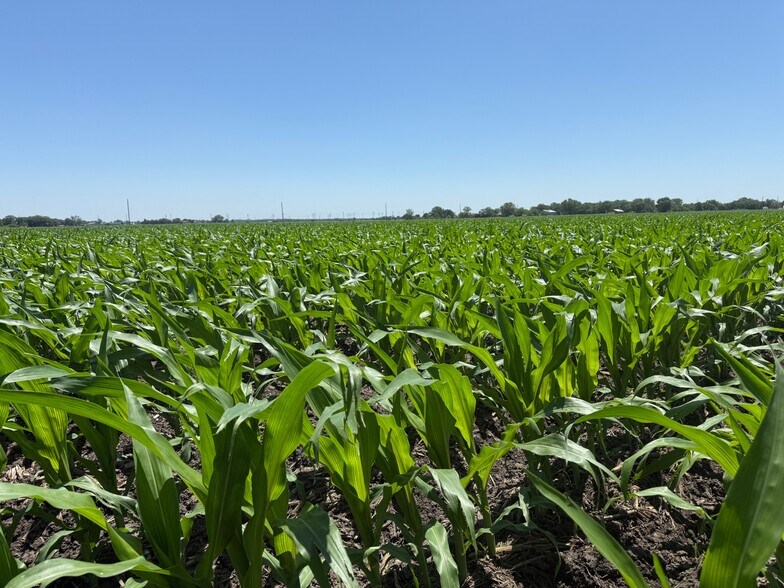 More Photos Of Hwy 34, Grand Island Land For Sale