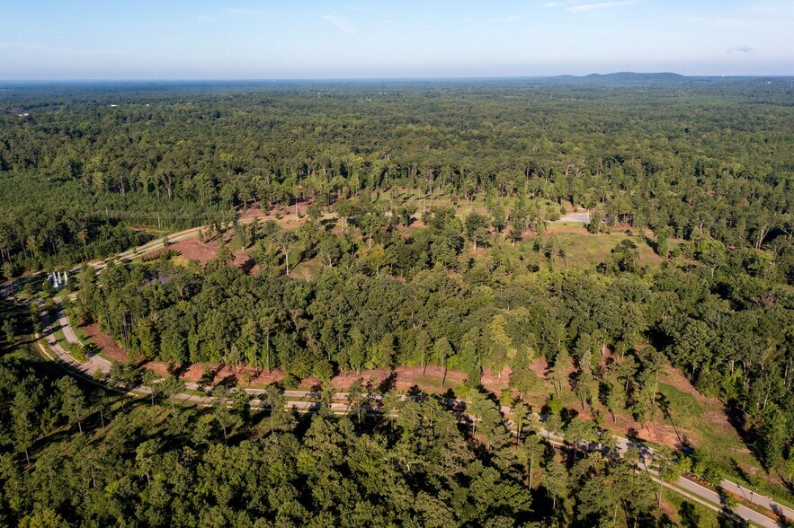 More Photos Of 301 Brighton Blvd, Chapin Land For Sale