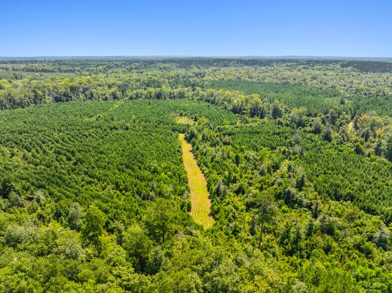 More Photos Of 7471 Highway 155, Saline Land For Sale