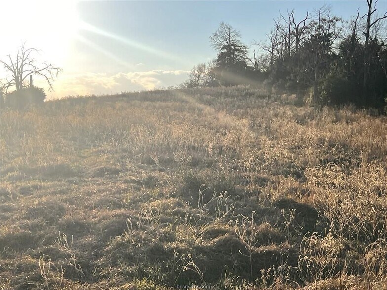 More Photos Of Fm-1469, Marquez Land For Sale