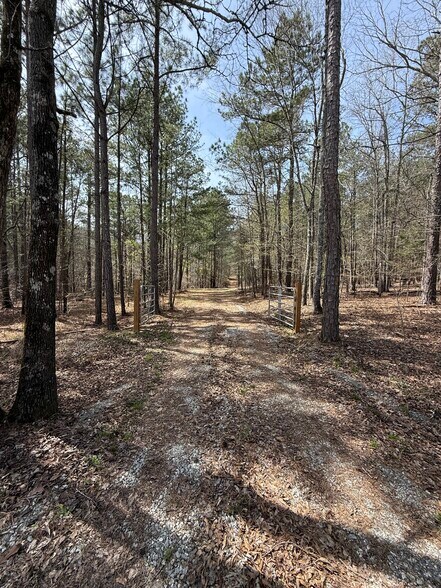 More Photos Of Sugar Creek Trail, Buckhead Land For Sale