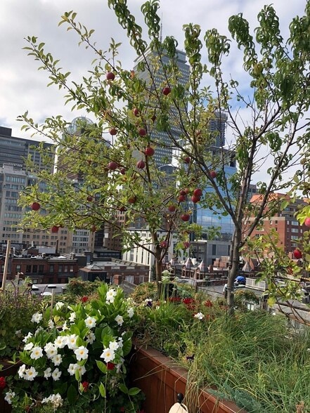 More Photos Of 230 Commonwealth, Boston Apartments For Sale