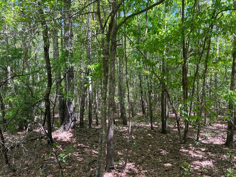 More Photos Of 2610 Highway 4, Jay Land For Sale