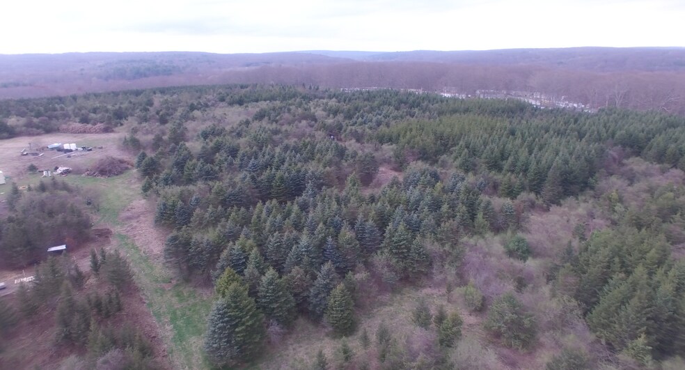 More Photos Of 282 Old Canterbury Tpke, Norwich Land For Sale