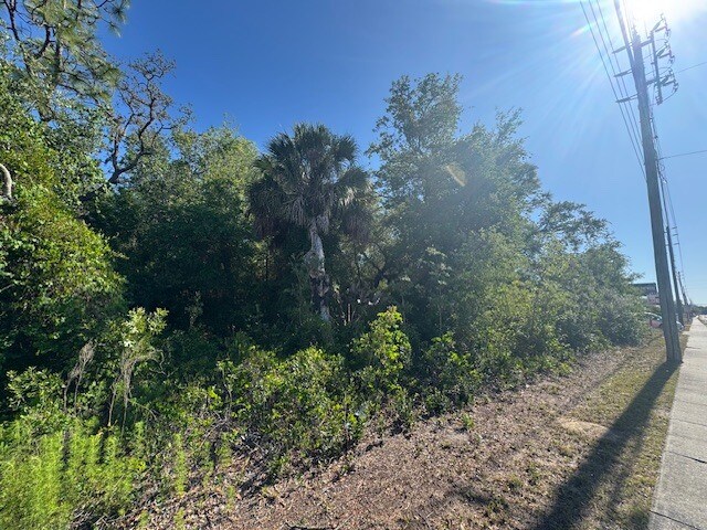 More Photos Of 10331 State Road 52, Hudson Land For Sale