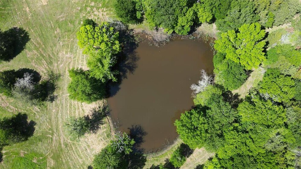 More Photos Of 1899 TX-21, Paige Land For Sale