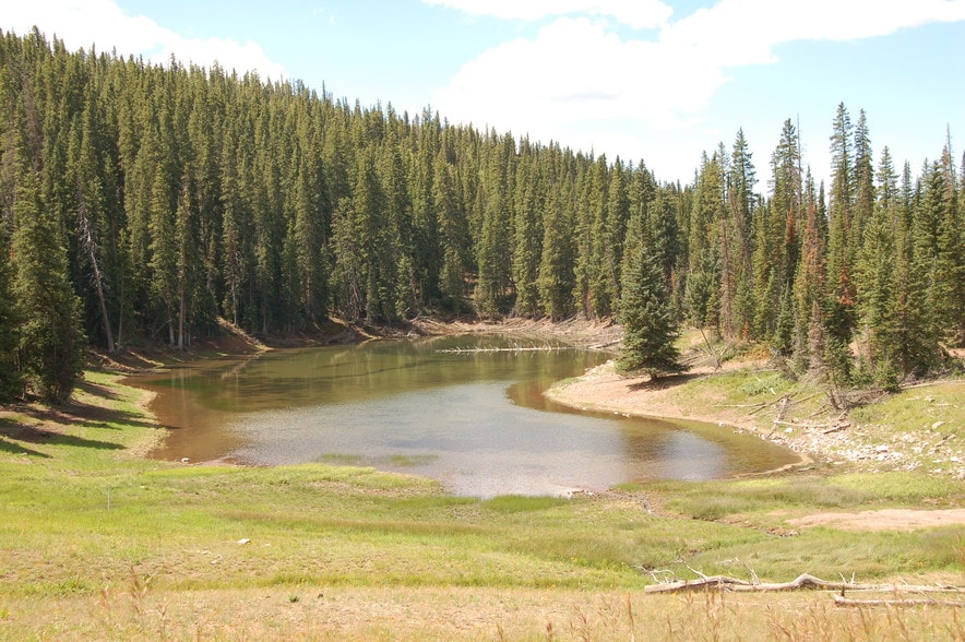More Photos Of Lake Beaver E, Beaver Land For Sale
