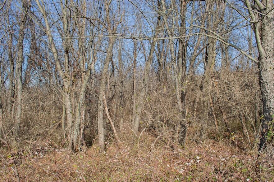 More Photos Of Remainder T.M Opequon Connector rd, Kearneysville Land For Sale