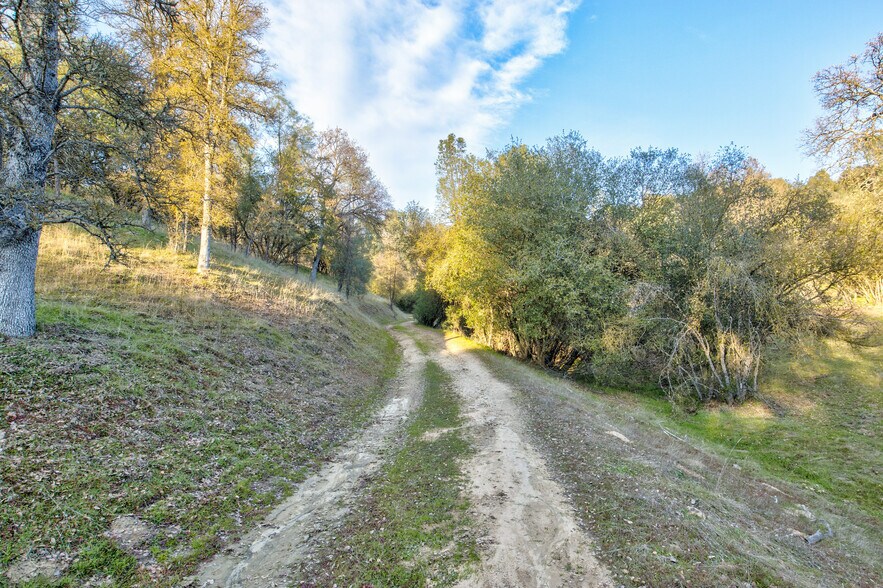 More Photos Of 50871 Road 200, O Neals Land For Sale