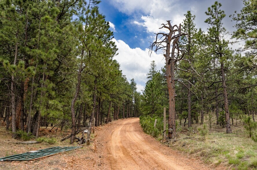More Photos Of 1312 Steamboat Valley Rd, Lyons Land For Sale