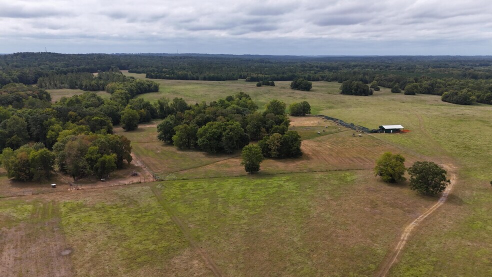 More Photos Of 6040 AL-28, Pine Apple Specialty For Sale