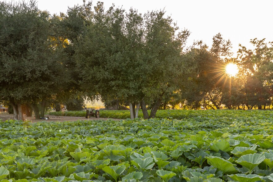 More Photos Of 0 Ragatz Lane, Napa Land For Sale