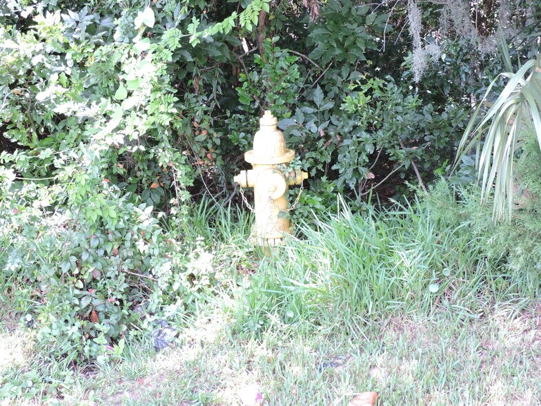 More Photos Of 12500 Yellow Bluff Rd, Jacksonville Land For Sale