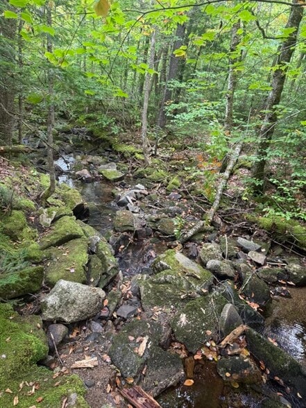 More Photos Of 1322 US Route 2, Randolph Hotel For Sale