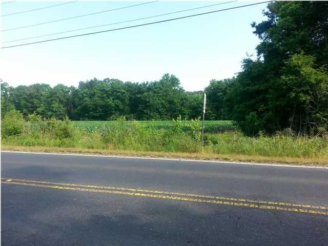 More Photos Of 2525 Highway 17A, Summerville Land For Sale