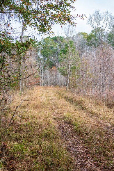 More Photos Of 409 Windward Ave, Orangeburg Land For Sale