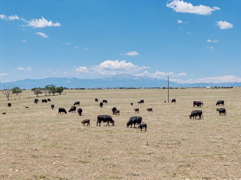 More Photos Of 5080 Salladay Rd, Calhan Land For Sale