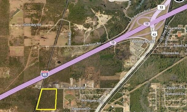 Primary Photo Of Baldwin Rd, Satsuma Land For Sale