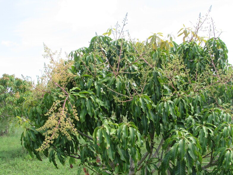 More Photos Of 9000 Stringfellow Rd, Saint James City Land For Sale