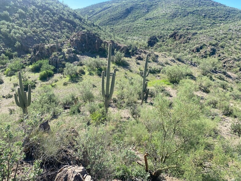 More Photos Of Lake Pleasant/ Cow Creek Road, Phoenix Land For Sale