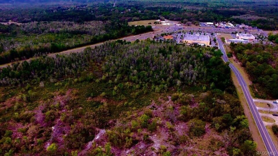 More Photos Of , Homosassa Land For Sale